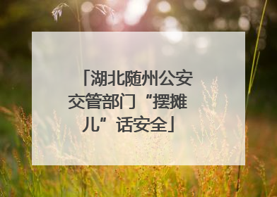 湖北随州公安交管部门“摆摊儿”话安全