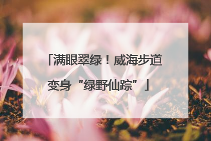 满眼翠绿！威海步道变身“绿野仙踪”