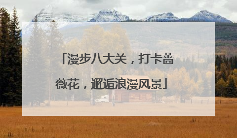 漫步八大关，打卡蔷薇花，邂逅浪漫风景