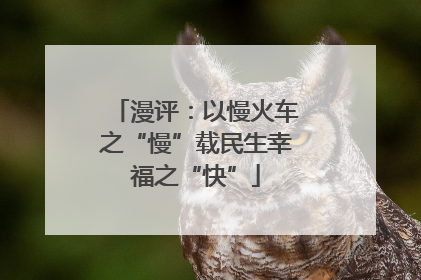 漫评：以慢火车之“慢”载民生幸福之“快”