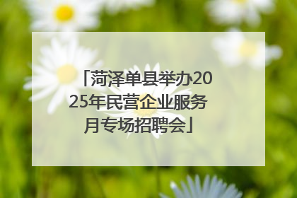 菏泽单县举办2025年民营企业服务月专场招聘会