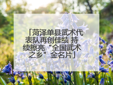 菏泽单县武术代表队再创佳绩 持续擦亮“全国武术之乡”金名片