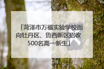 菏泽市万福实验学校面向牡丹区、鲁西新区招收500名高一新生