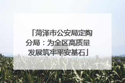 菏泽市公安局定陶分局：为全区高质量发展筑牢平安基石