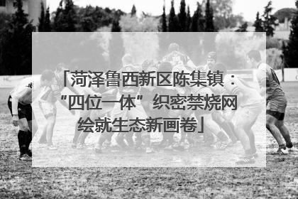 菏泽鲁西新区陈集镇：“四位一体”织密禁烧网 绘就生态新画卷