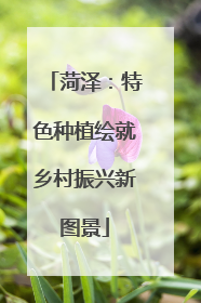 菏泽：特色种植绘就乡村振兴新图景