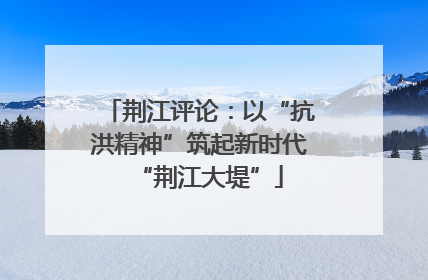 荆江评论：以“抗洪精神”筑起新时代“荆江大堤”
