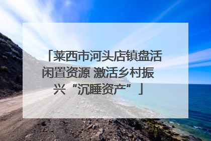 莱西市河头店镇盘活闲置资源 激活乡村振兴“沉睡资产”