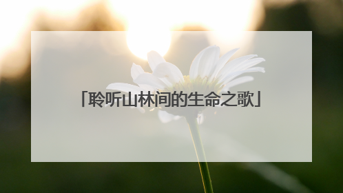 聆听山林间的生命之歌