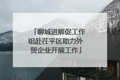 聊城进解促工作组赴茌平区助力外贸企业开展工作