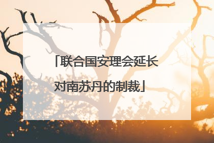 联合国安理会延长对南苏丹的制裁