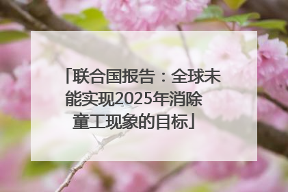 联合国报告：全球未能实现2025年消除童工现象的目标