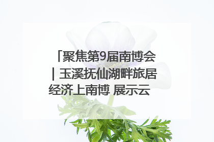 聚焦第9届南博会｜玉溪抚仙湖畔旅居经济上南博 展示云南生活新样本