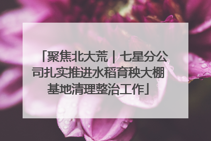 聚焦北大荒｜七星分公司扎实推进水稻育秧大棚基地清理整治工作