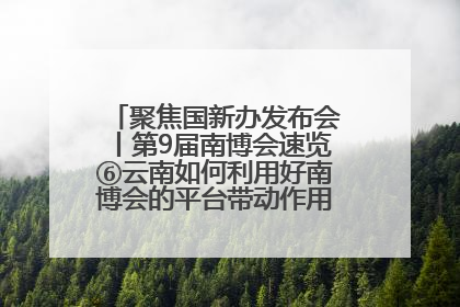 聚焦国新办发布会丨第9届南博会速览⑥云南如何利用好南博会的平台带动作用，深化与南亚国家的交流与合作？