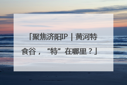 聚焦济阳IP｜黄河特食谷，“特”在哪里？