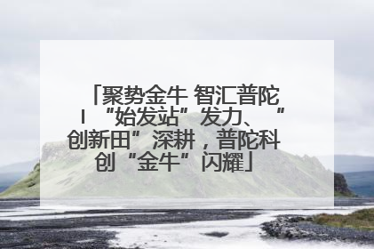 聚势金牛 智汇普陀〡“始发站”发力、“创新田”深耕，普陀科创“金牛”闪耀