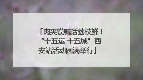 肉夹馍喊话荔枝鲜！“十五运·十五城”西安站活动圆满举行