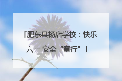 肥东县杨店学校：快乐六一 安全“童行”