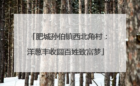 肥城孙伯镇西北角村：洋葱丰收圆百姓致富梦