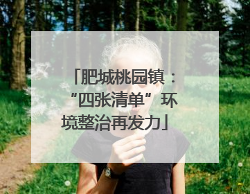 肥城桃园镇：“四张清单”环境整治再发力