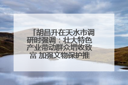 胡昌升在天水市调研时强调：壮大特色产业带动群众增收致富 加强文物保护推动文化创新发展