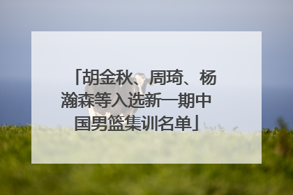 胡金秋、周琦、杨瀚森等入选新一期中国男篮集训名单