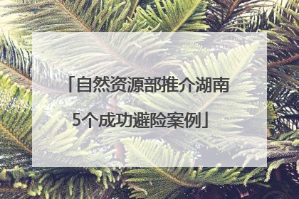 自然资源部推介湖南5个成功避险案例