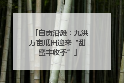 自贡沿滩：九洪万亩瓜田迎来“甜蜜丰收季”