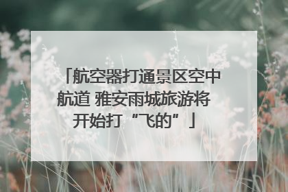 航空器打通景区空中航道 雅安雨城旅游将开始打“飞的”