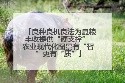 良种良机良法为夏粮丰收提供“硬支撑” 农业现代化图景有“智”更有“质”