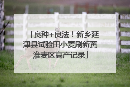 良种+良法！新乡延津县试验田小麦刷新黄淮麦区高产记录