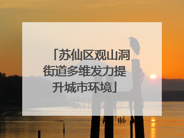 苏仙区观山洞街道多维发力提升城市环境