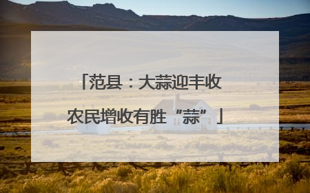 范县：大蒜迎丰收 农民增收有胜“蒜”