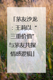茅友沙龙：王莉以“三重价值”与茅友共探情感逻辑