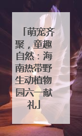 萌宠齐聚，童趣自然：海南热带野生动植物园六一献礼