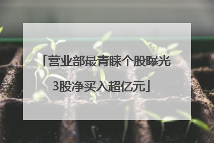 营业部最青睐个股曝光 3股净买入超亿元
