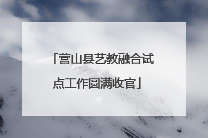 营山县艺教融合试点工作圆满收官