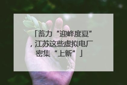 蓄力“迎峰度夏”，江苏这些虚拟电厂密集“上新”