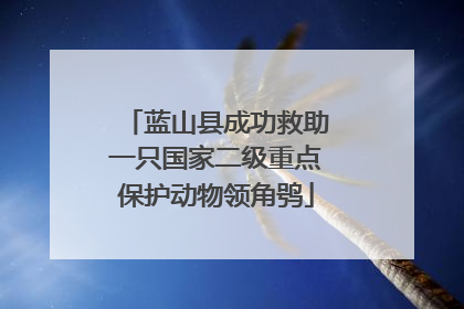 蓝山县成功救助一只国家二级重点保护动物领角鸮