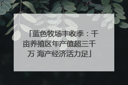 蓝色牧场丰收季：千亩养殖区年产值超三千万 海产经济活力足