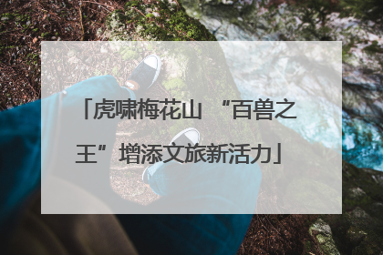 虎啸梅花山 “百兽之王”增添文旅新活力
