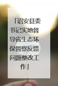 诏安县委书记实地督导省生态环保督察反馈问题整改工作