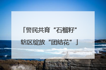 警民共育“石榴籽” 辖区绽放“团结花”