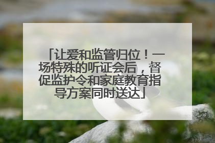 让爱和监管归位！一场特殊的听证会后，督促监护令和家庭教育指导方案同时送达