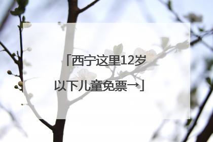 西宁这里12岁以下儿童免票→