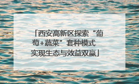 西安高新区探索“葡萄+蔬菜”套种模式 实现生态与效益双赢