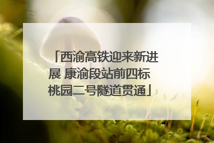 西渝高铁迎来新进展 康渝段站前四标桃园二号隧道贯通