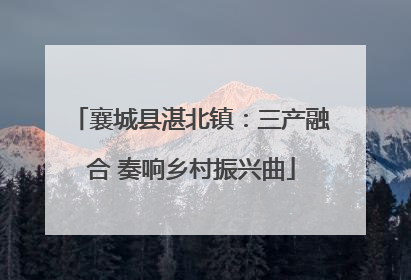 襄城县湛北镇：三产融合 奏响乡村振兴曲