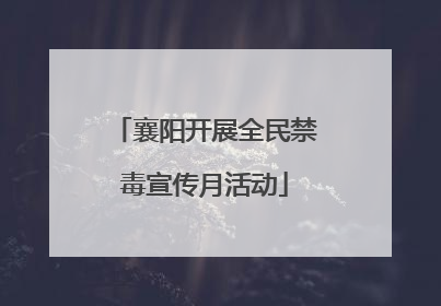 襄阳开展全民禁毒宣传月活动